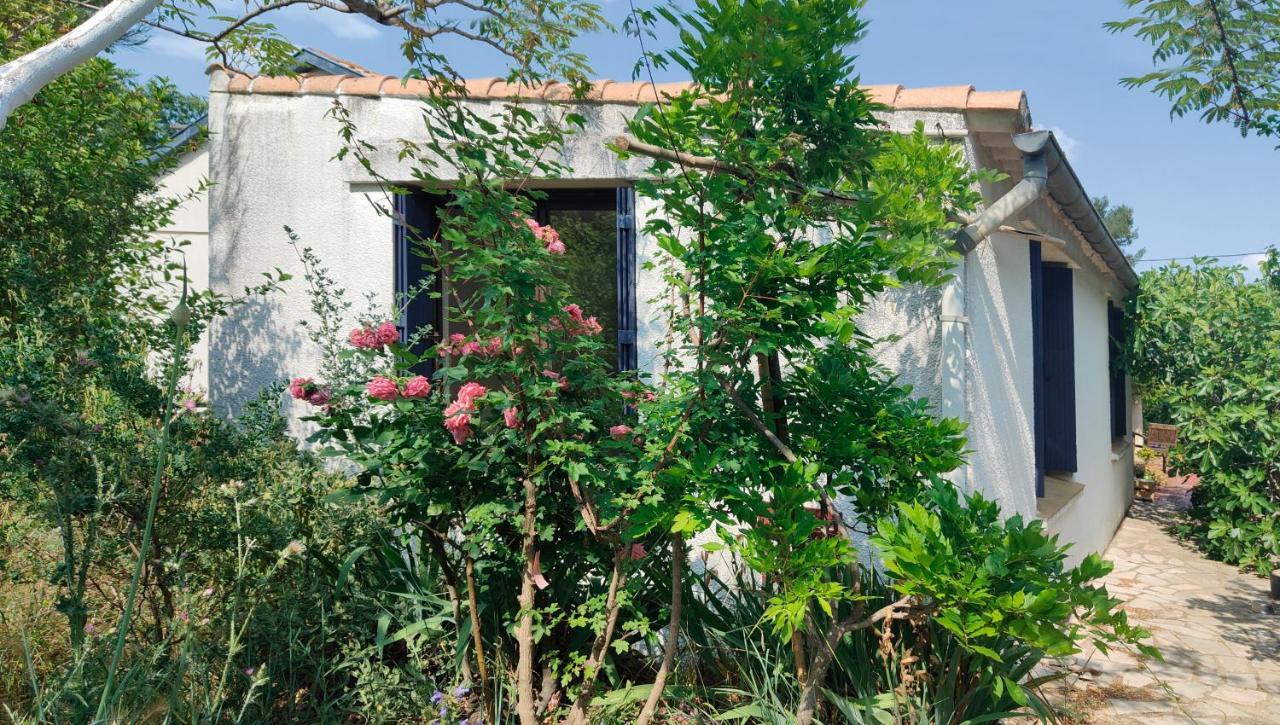 נים Chambre Privee Dans Maison En Garrigue מראה חיצוני תמונה